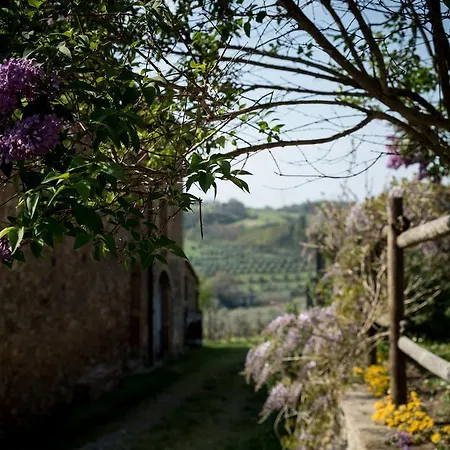 Borgo Amarrante Holiday home Montaione