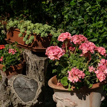 Borgo Amarrante Holiday home