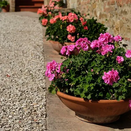 Holiday home Borgo Amarrante Montaione